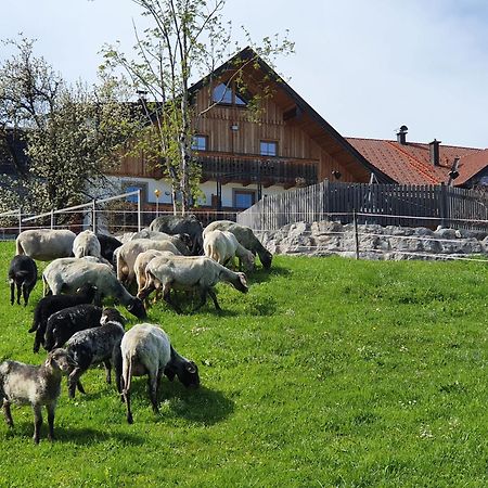 Bramsauerhof Apartman Faistenau Kültér fotó